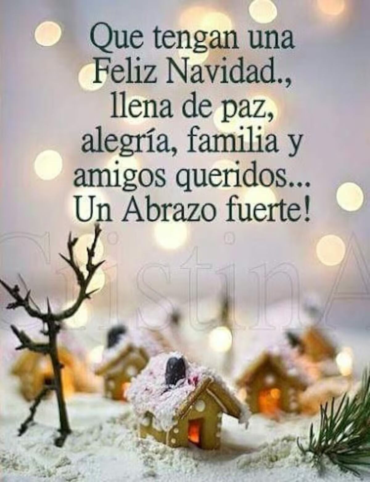 Las mejores imágenes para dedicar este 25 diciembre en Navidad. (Foto: Difusión).