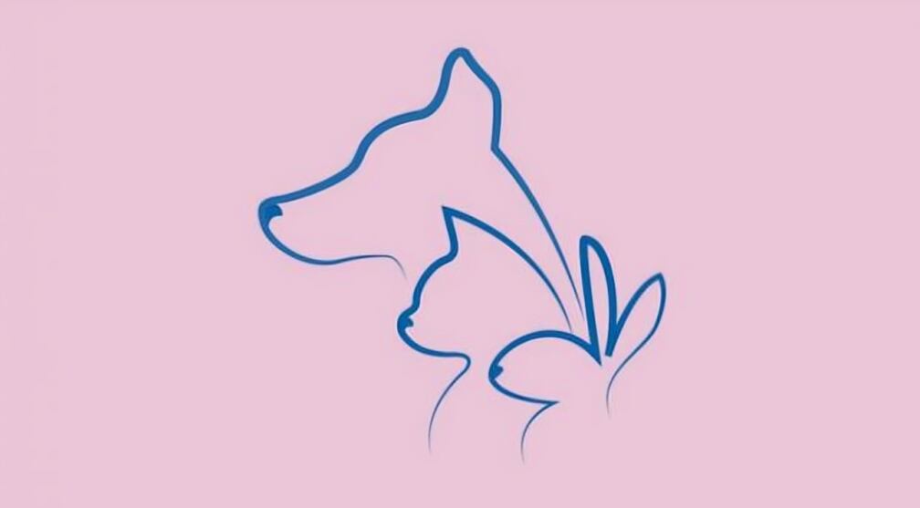 Test de personalidad: descubre tu mayor fortaleza según qué animal viste primero (Foto: GenialGuru).