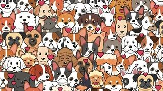 ¿Serás capaz de hallar al gato oculto entre las sombras en 12 segundos? ¡Pocos lo logran!