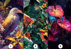 Eligiendo una pintura conocerás cómo fortalecer tu autoestima