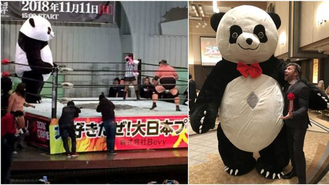 Nada amistoso: el oso panda de 500 kilos que es estrella en la lucha libre de Japón [VIDEO]