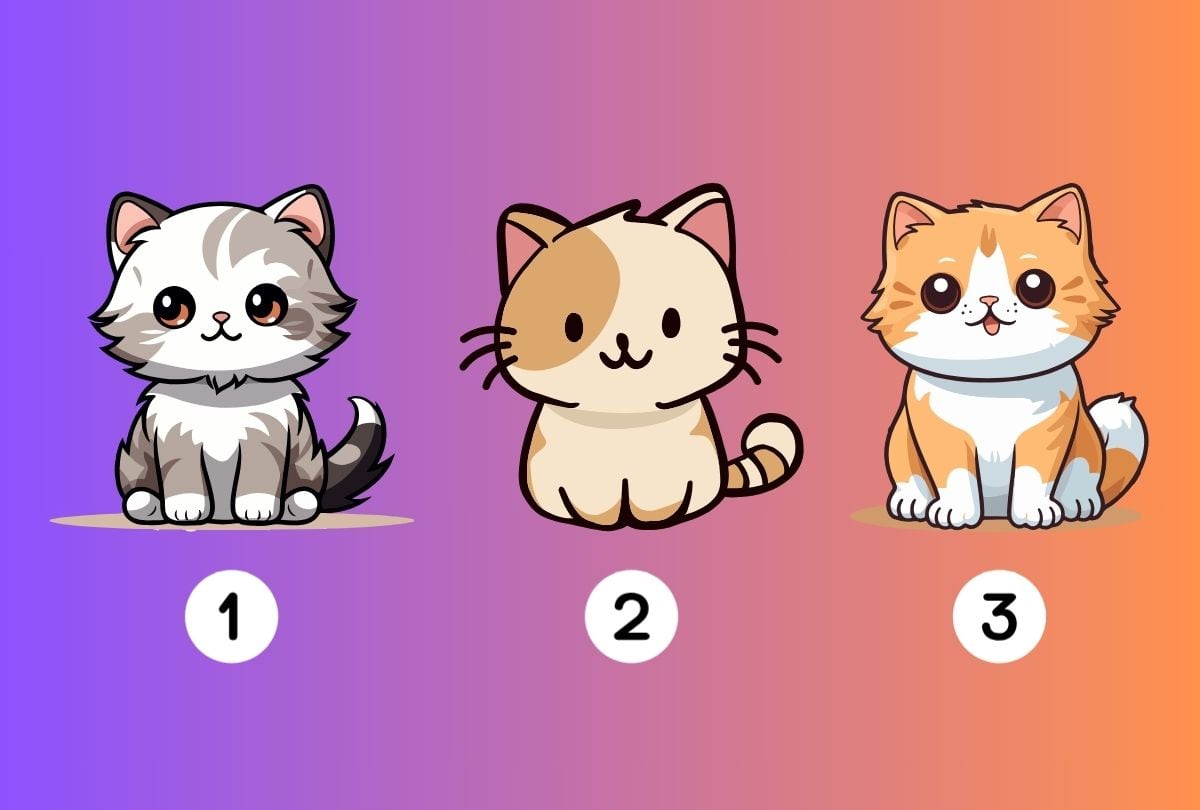 Elige uno de los tres gatos en la imagen para descubrir qué tipo de amigo eres (Foto: Depor).