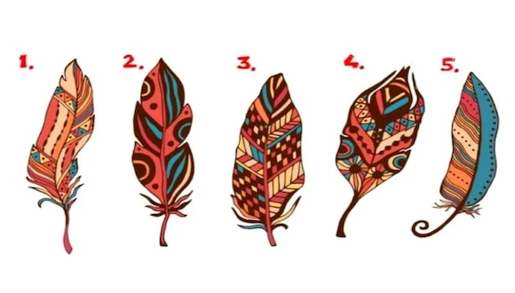 TEST VISUAL | En esta imagen hay bastantes plumas. Tienes que elegir una. (Foto: namastest.net)