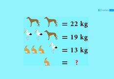 Descifra el enigma: ¿En 15 segundos puedes averiguar el peso del conejo en este reto matemático?