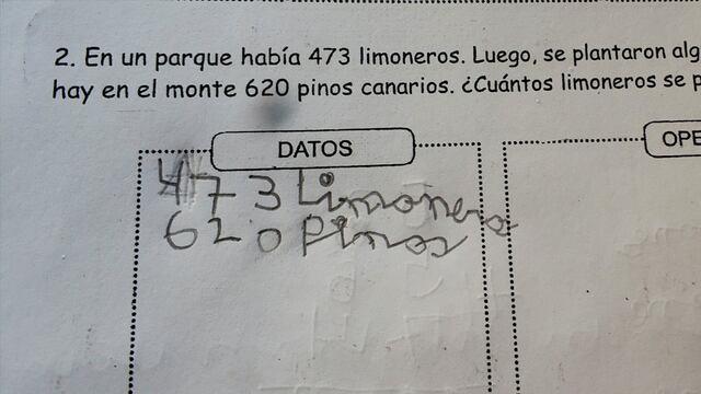 Problema matemático para niños de 7 años se vuelve viral tras ser imposible de resolver