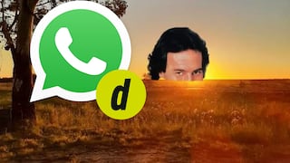 ¿Quieres enviar por WhatsApp los memes de Julio Iglesias por julio? Aquí los mejores