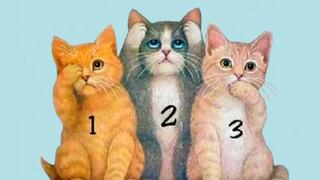 ¿Qué dice tu gatito interior? Descubre tu personalidad con este divertido test