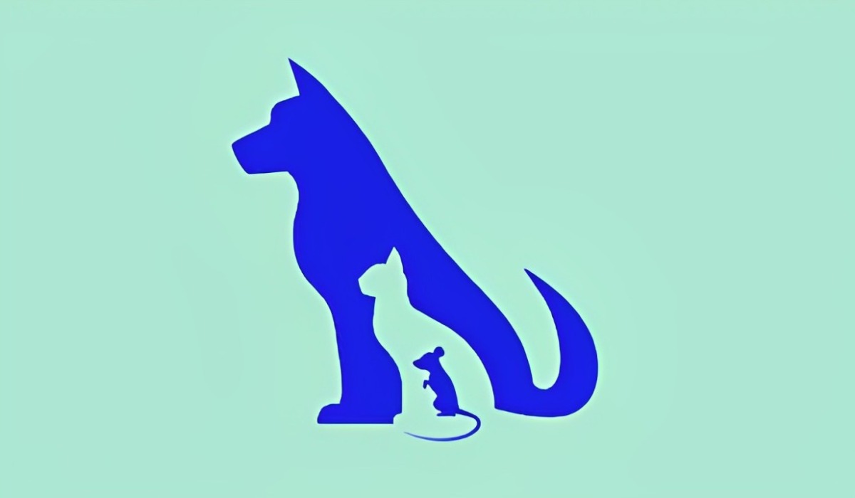 Test visual: descubre si eres una buena persona según el primer animal que veas en esta imagen (Foto: Mdzol).