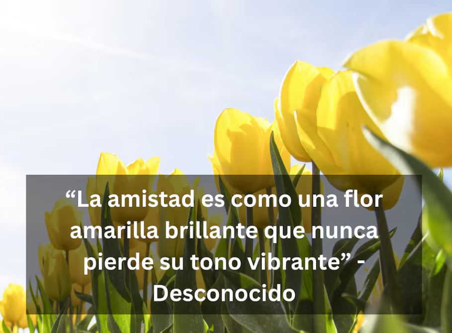 “La amistad es como una flor amarilla brillante que nunca pierde su tono vibrante” - Desconocido | Foto de Pixabay / Composición Depor.