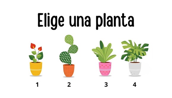 Test visual: elige una de las plantas en esta ilustración para conocer cuál es tu edad mental (Foto: Namastest).