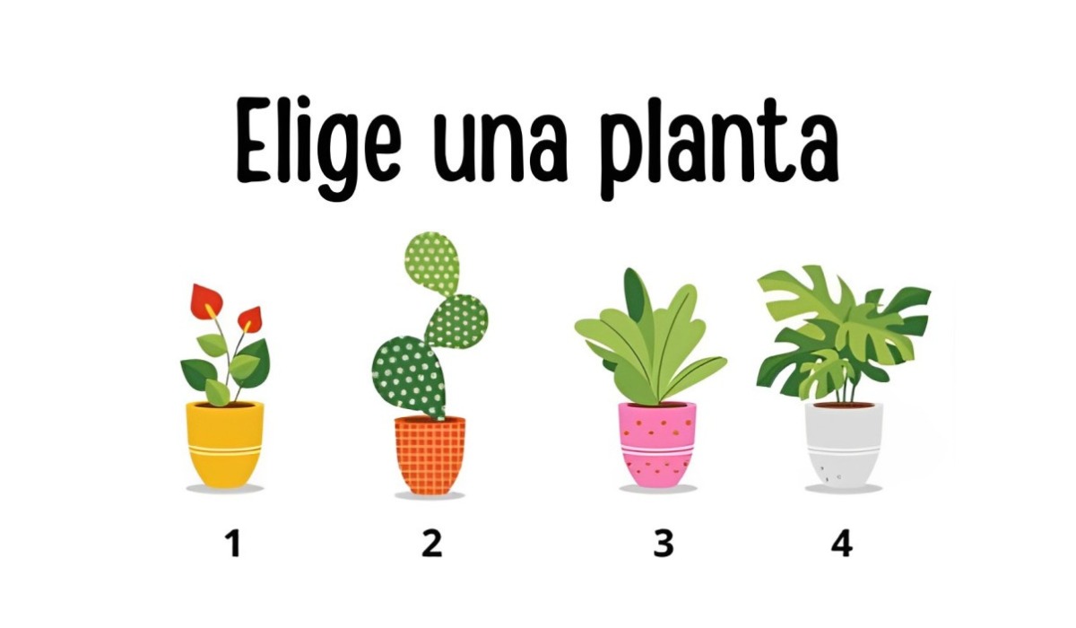 Test visual: elige una de las plantas en esta ilustración para conocer cuál es tu edad mental (Foto: Namastest).