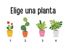 Escoge una de las cuatro plantas en la ilustración para descubrir tu edad mental