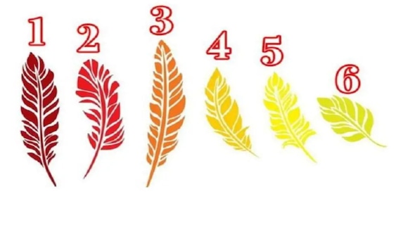 TEST VISUAL | En esta imagen hay seis plumas distintas. Elige una. (Foto: namastest.net)