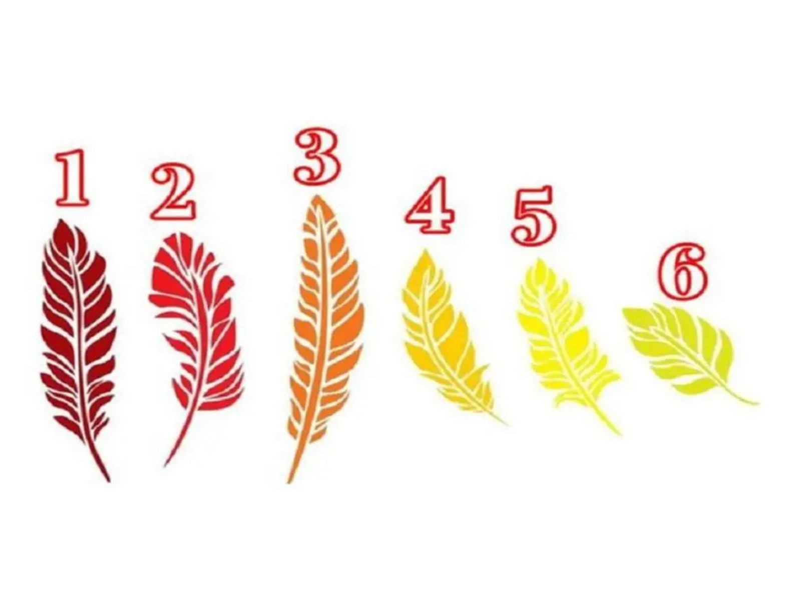 TEST VISUAL | En esta imagen hay seis plumas distintas. Elige una y coteja tu resultado. (Imagen: Archivo)