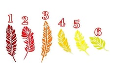 Nada más debes elegir una pluma para conocer todo sobre tu forma de ser