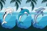 Elige uno de los delfines en esta imagen para descubrir qué tan inteligente eres