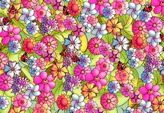 Desafío visual: encuentra la mariposa oculta entre las flores en menos de 15 segundos
