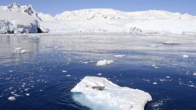 National Geographic estrenó “La Península Antártica”, documental sobre expedición inédita del Pristine Seas