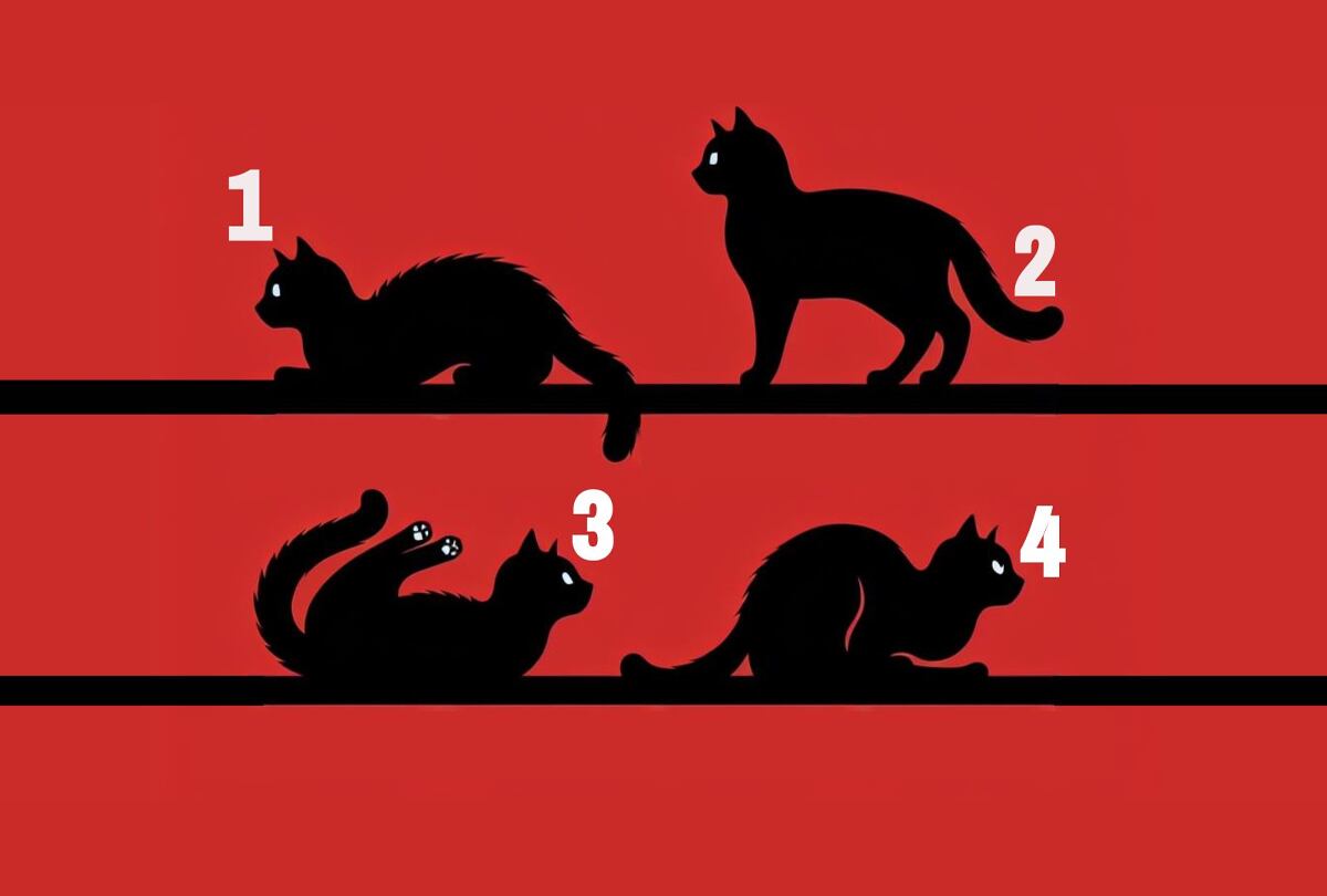 Test visual: Elige el gato que más te llame la atención y descubre lo que revela sobre tu misión personal. (https://sutilezafeminina.com.br)