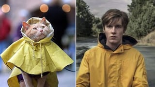 Dark, temporada 3: el viral de cómo se verían los personajes si fuesen gatitos [FOTOS - NO SPOILERS]