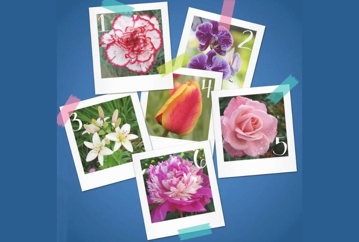 Test visual: Descubre cómo tu elección floral puede decir mucho sobre ti y tus características ocultas.
