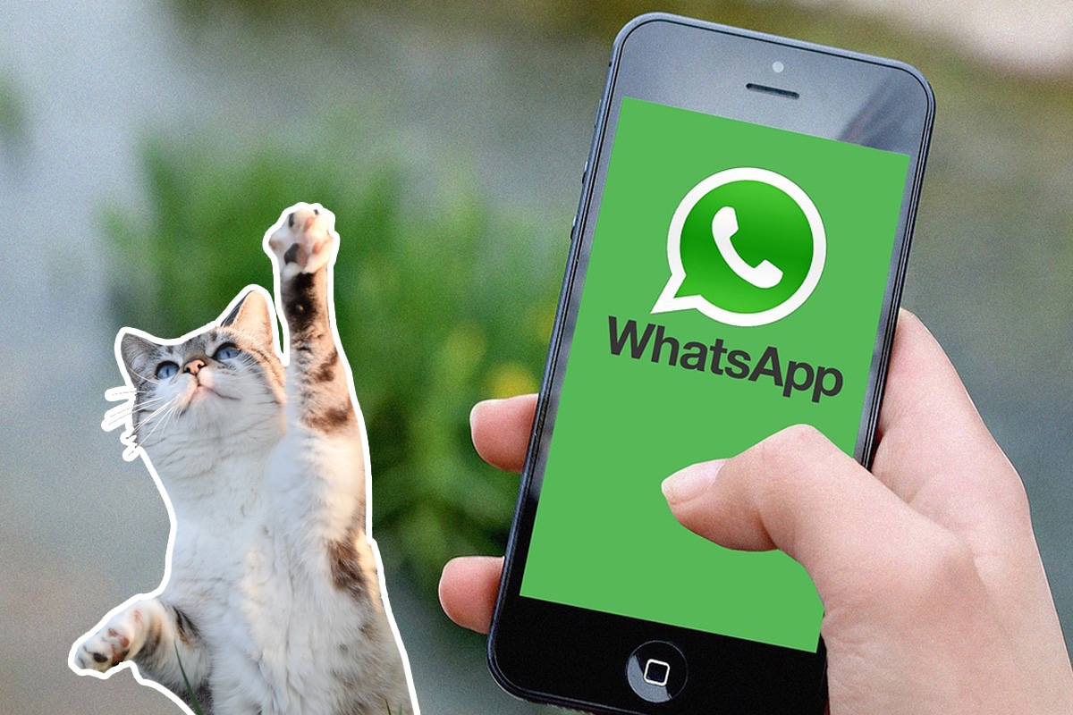 WHATSAPP | Todo lo vas a realizar a través del aplicativo de mensajería y sin descargar aplicaciones. (Foto: Pixabay)