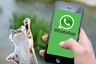 El truco de WhatsApp para saber desde qué chat destacó un sticker tu pareja