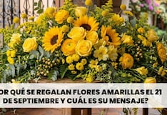 ▷ ¿Por qué se regalan flores amarillas el 21 de septiembre y qué mensaje transmiten a tu pareja en México, Argentina y Chile?