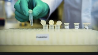 Ejecutan con éxito pruebas preclínicas de una vacuna contra el coronavirus en Alemania