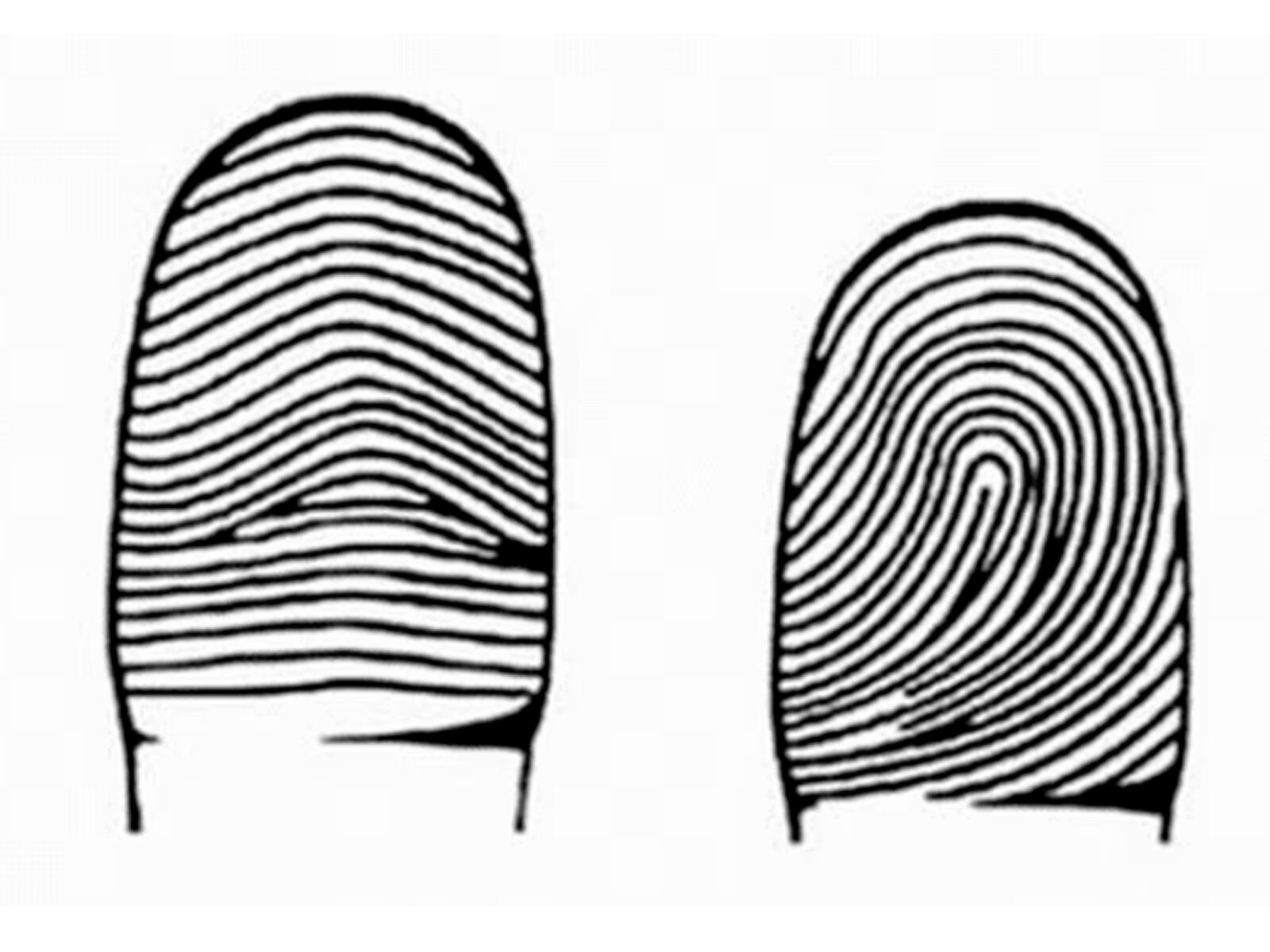 Tienes que elegir solo una de las dos opciones del test de personalidad y conocerás increíbles resultados.| Foto: genial.guru