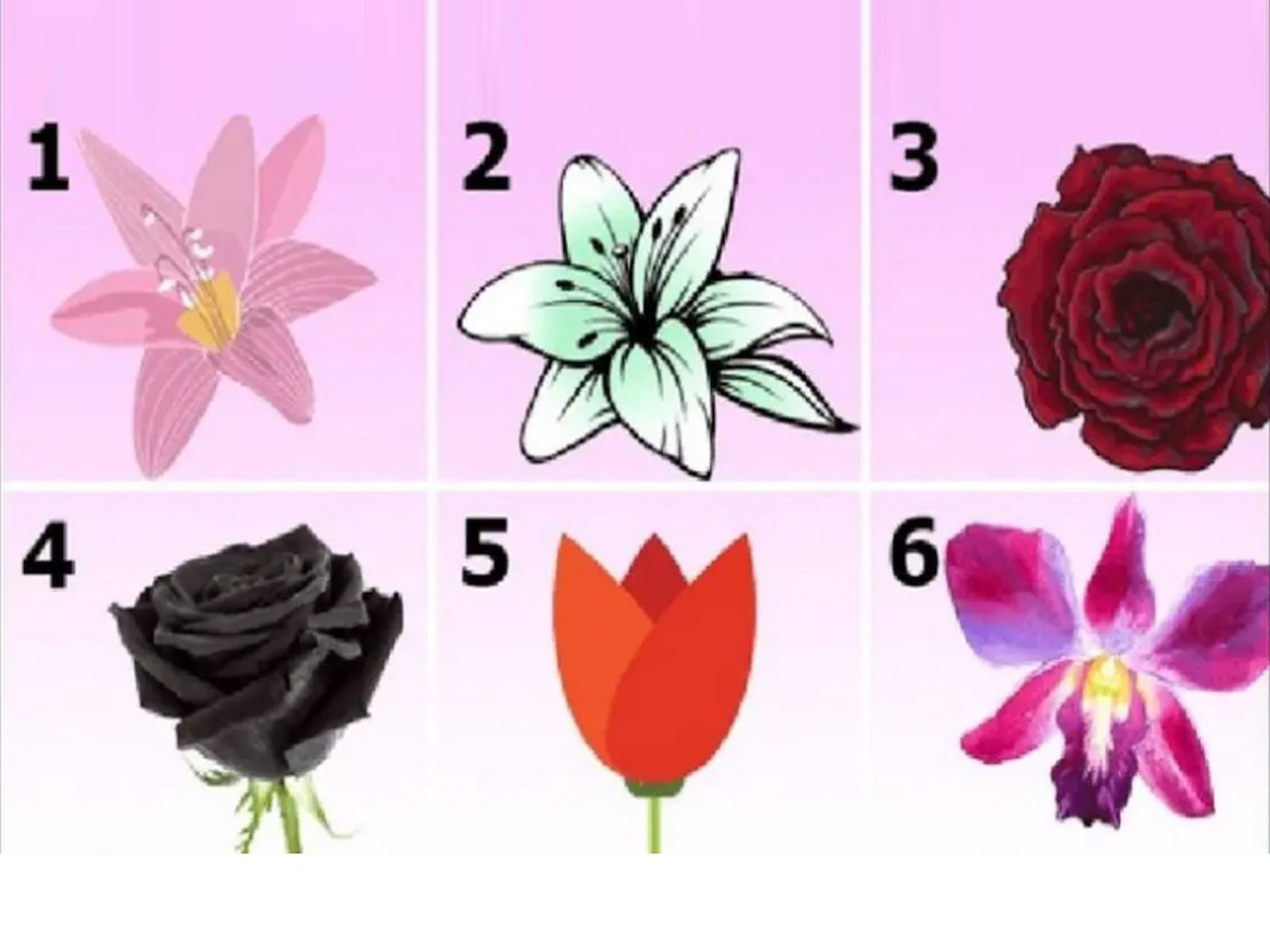 TEST VISUAL | En esta imagen hay muchas flores diferentes. Indica cuál es la que más te gusta. (Foto: namastest.net)