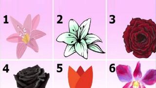 Tu verdadera personalidad será revelada cuando digas cuál es la flor que más te gusta