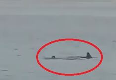 Video viral ataque de tiburón en Egipto: así fue como se comió a un turista ruso