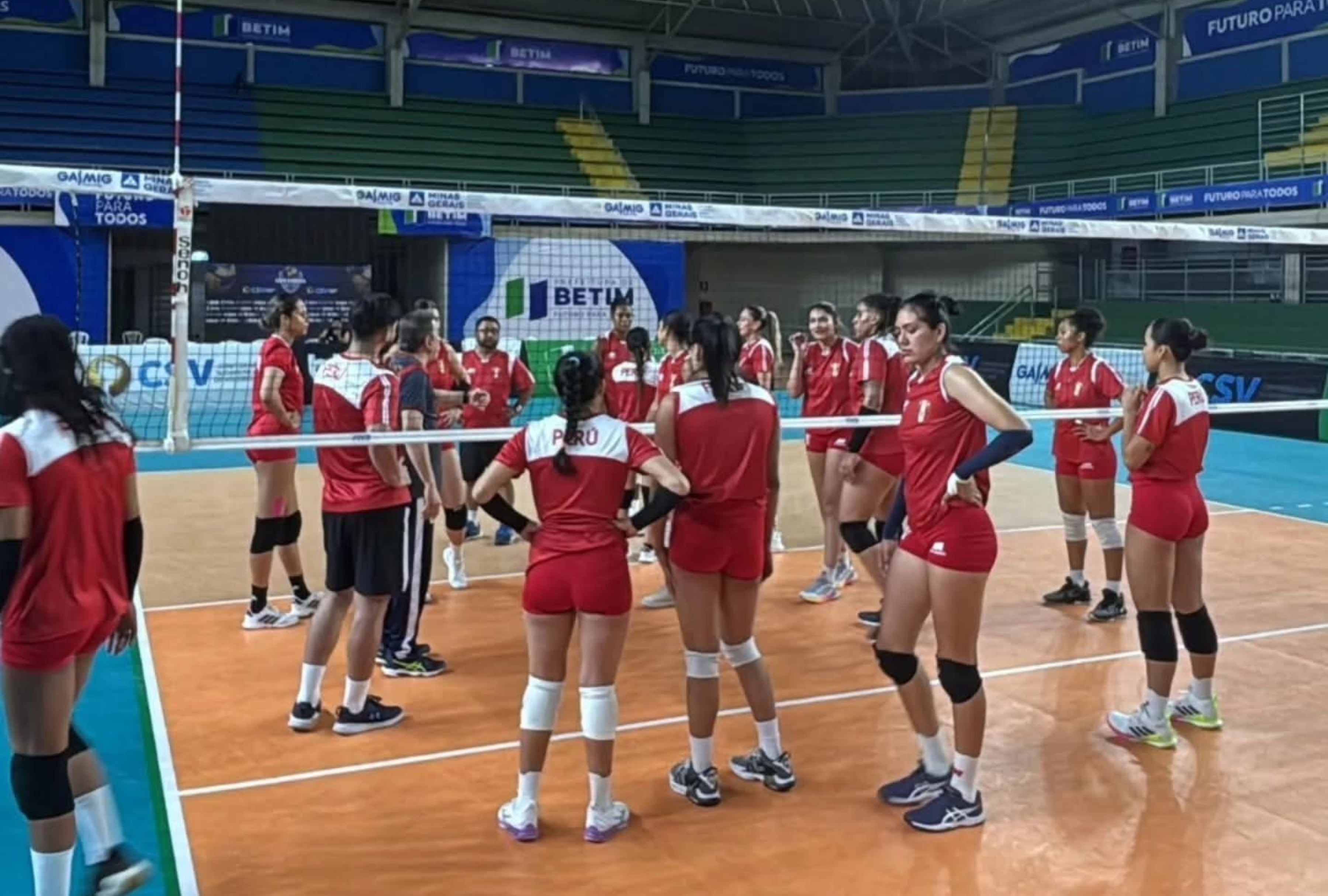 La selección peruana de voleibol femenino de la categoría mayores jugará el sudamericano en Brasil | Crédito: @FPVPE / X