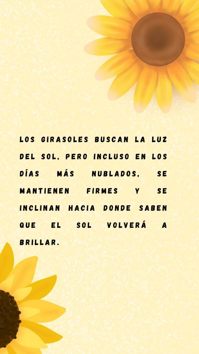 Este lunes 21 de septiembre es una fecha especial para regalar flores amarillas a tu persona especial. (Foto: Canva.com)