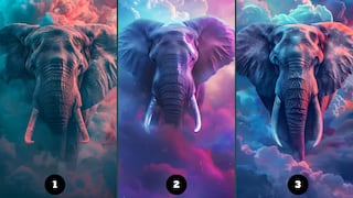 Elige un elefante del test y descubre si eres una persona narcisista