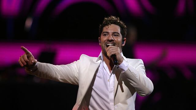 David Bisbal y Rosanna Zanetti anuncian que están esperando su segundo hijo