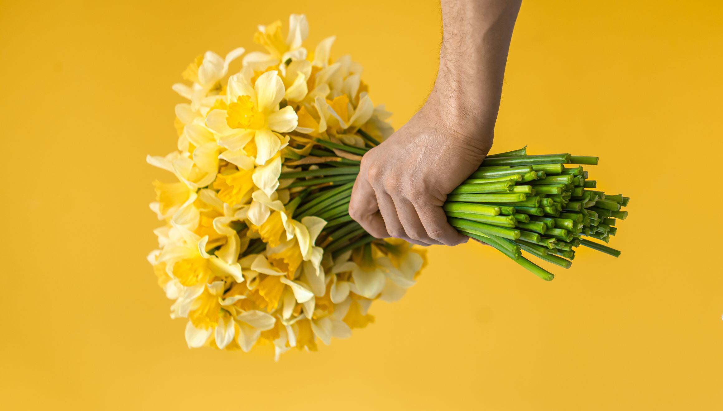 Conoce el significado de regalar flores amarillas este 21 de septiembre | Foto: https://www.freepik.es/