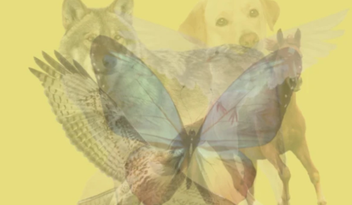 Descubre que es lo más valioso en la vida para ti con el test de personalidad. (Foto: Facebook)