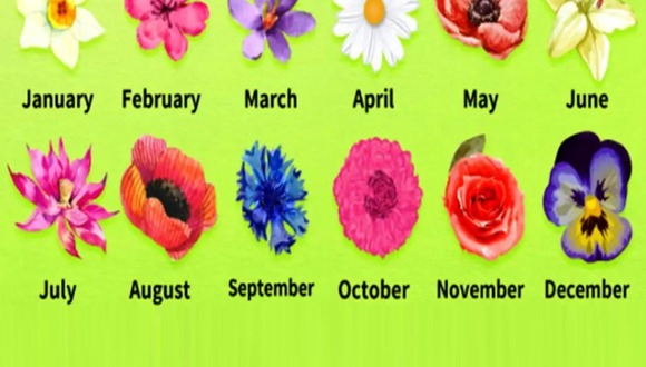 TEST VISUAL | En esta imagen hay varias flores. Cada una representa un mes. (Foto: namastest.net)