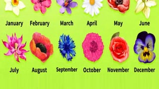 Averigua cómo eres, de acuerdo a la flor que corresponde al mes de tu cumpleaños