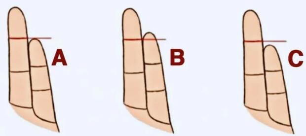 El tamaño de tu meñique según tu anular revelará cuál es tu mayor debilidad. (Foto: Genial.Guru)