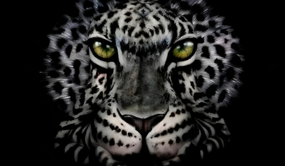 Test visual: descubre si eres una persona inquebrantable según veas a un tigre o una mujer (Foto: GenialGuru).