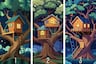 ¿En qué árbol vivirías? Tu respuesta determinará si eres una persona humilde