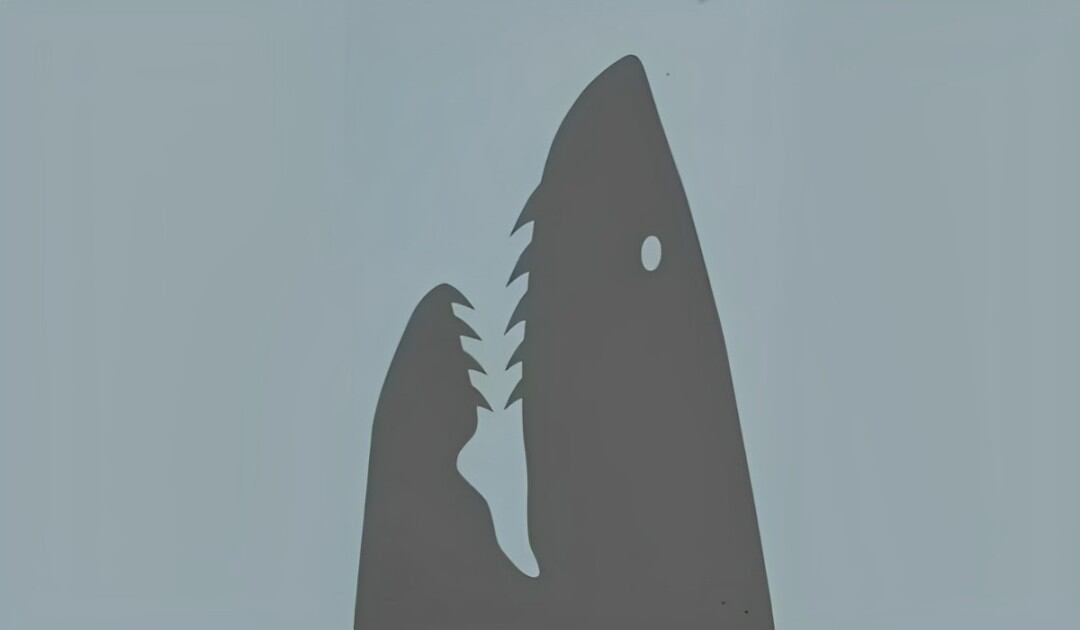 Test de personalidad: conoce una característica personal. (Foto: MDZOL)