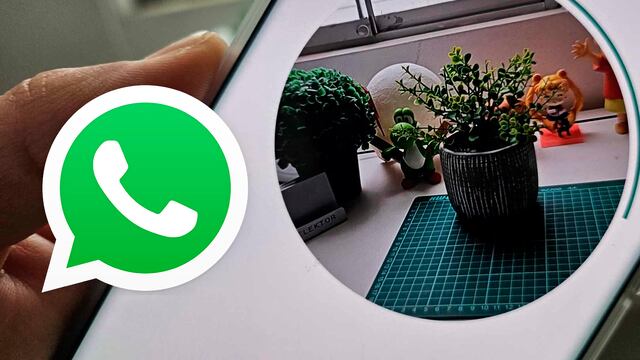 WhatsApp: conoce la nueva manera de enviar videos circulares