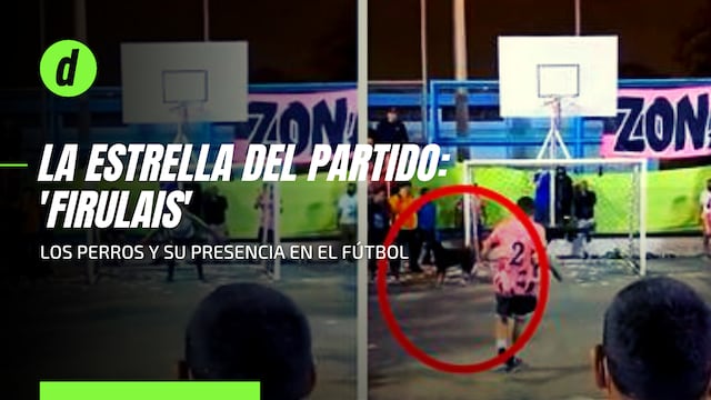 Video viral: ¡Todo un crack ‘Firulais’! Cuando los perros se convierten en protagonistas del fútbol