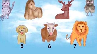Test viral: Elige uno de los 7 animales y quedarás sorprendido en cuál es tu verdadero instinto 