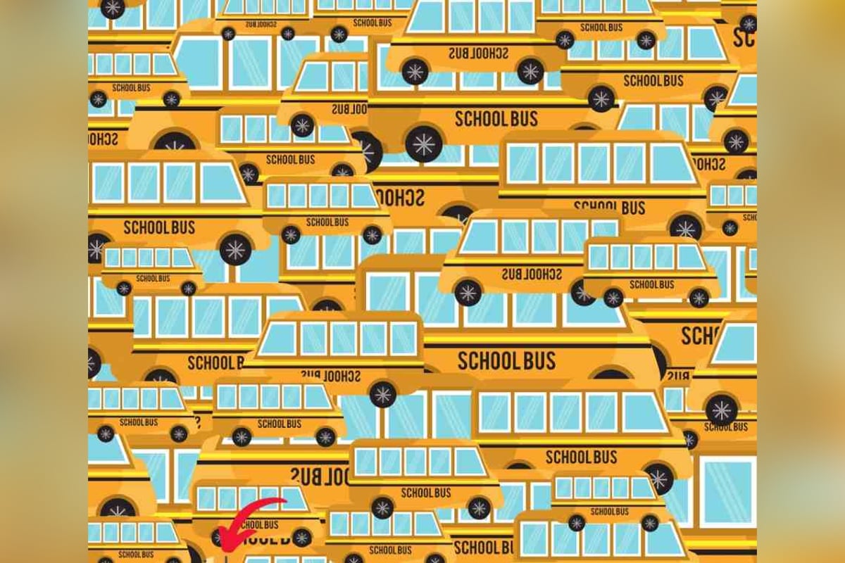 El lápiz se esconde en la esquina inferior izquierda. (Foto: Go Simple Tax)