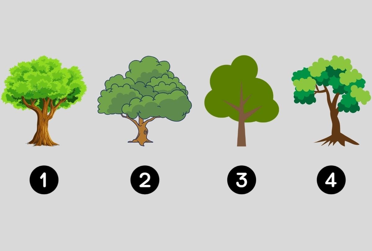 Test visual: elige uno de los árboles para descubrir qué tipo de carácter tienes (Diseño: Depor).